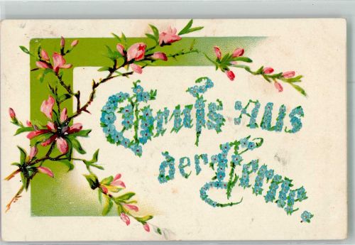 Gruss aus der Ferne Vergissmeinnicht Blumensprache 1911 Prägedruck