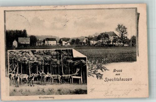 01737 O8211 Spechtshausen 1906 - Wildfütterung