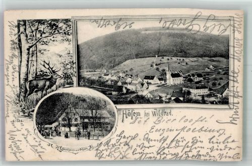 75339 W7545 Höfen an der Enz 1906 - Gasthaus zum Ochsen Hirsch