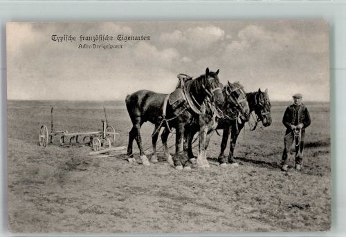 Französischer dreispänniger Pferdeflug Bäuerliches Leben Verlag Dr. Trenkler & Co. Feldpost WK I Bay. 9. Res.-Div. Westlicher Kriegsschauplatz 1916