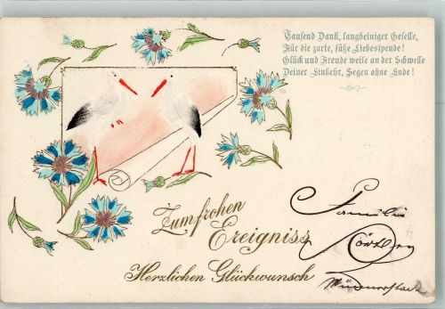 Klapperstörche Kornblumen Geburt Golddruck Storch 1902 Prägedruck