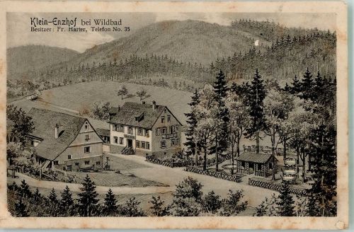 75323 W7547 Kleinenzhof 1921 - Gasthaus Enzhof Gartenwirtschaft