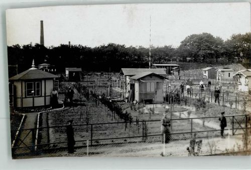 06295 O4250 Lutherstadt Eisleben 1910 Privatfoto AK Schrebergartenanlage Ort lt. Stempel