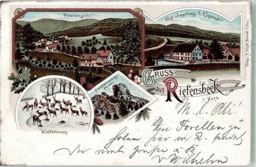 37520 W3360 Riefensbeek 1898 Lithographie Gasthaus Klapprodt Wildfütterung Ruine Hanskühnenburg