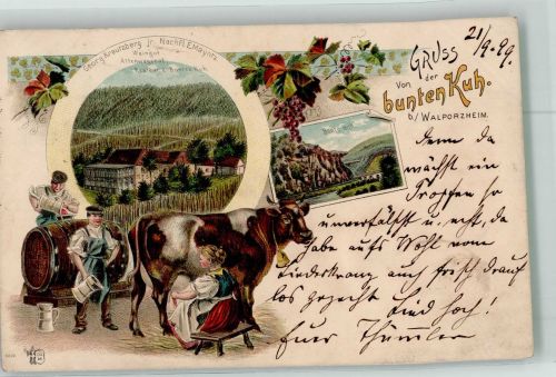 53474 W5483 Walporzheim 1899 Lithographie Gasthaus zur bunten Kuh Weingut Altenwegshof Melkerinn Kuh Verlag Ottmar Zieher-München