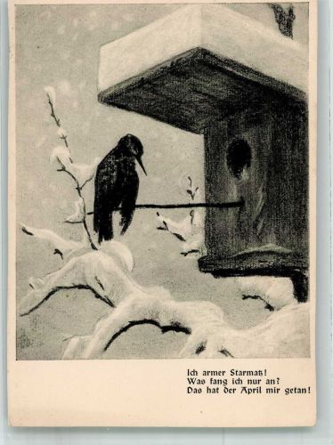 sign. Kühnle, Karl Trauriger Star im Schnee vor seinem Vogelhäuschen Flaggenstempel Vogel 1935 Künstlerkarte