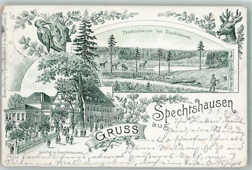 16230 O1301 Spechthausen 1900 Lithographie Gasthaus zu Spechthausen Specht Triebischwiese