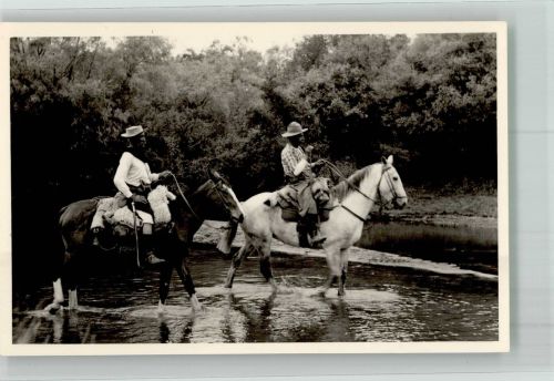 Gauchos Pferd