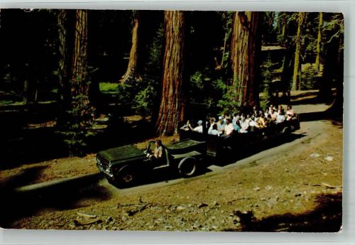 Im Mariposa Grove Yosemite Nationalpark Straßenbahn