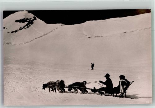 Fahrt m. Polarhunden auf d. Aletschgletscher Hundeschlitten