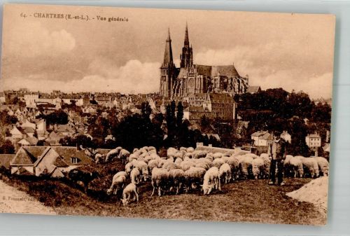 28000 Chartres Foto AK Kirche Schafherde
