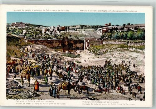 Jerusalem Viehmarkt im Sultansteich Motiv Israel