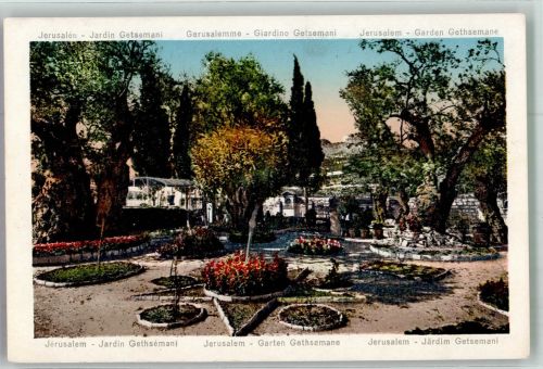 Jerusalem - Garten Gethsemani