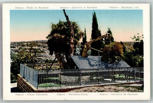 Hebron Foto AK Denkmal Abrahams-Eiche