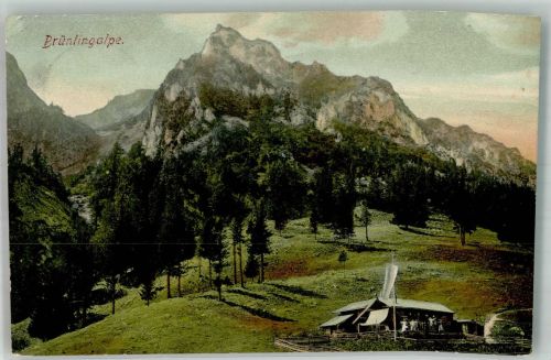 83355 W8221 Bergen , Oberbay Gebrauchsspuren Brünlingalpe