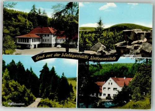 32756 W4930 Detmold Foto AK Waldgaststätte Kattenmühle Feldrom Velmerstot Silberbachtal