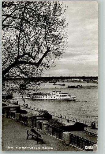 53111 W5300 Bonn Foto AK Brücke