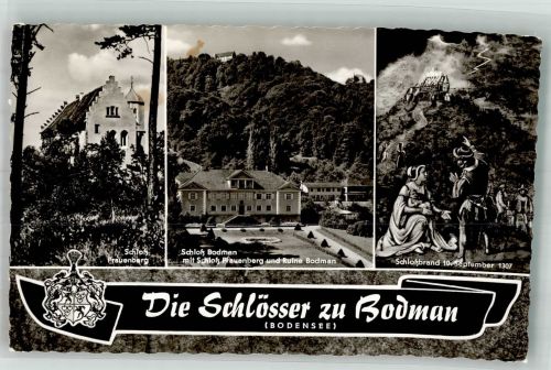 78351 W7762 Bodman Foto AK Die Schlösser zu Bodmann Bodensee Frauenberg Ruine Schloßbrand 1307 Wappen