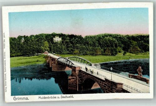 04668 O7240 Grimma Lithographie Muldenbrücke Stadtwald