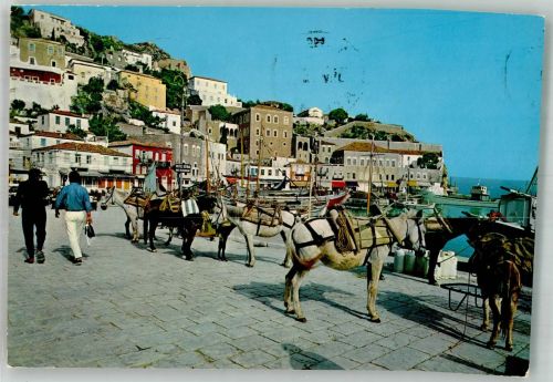 Hydra Ydra Foto AK Hafen Esel
