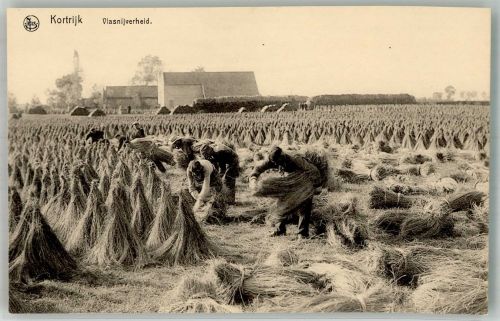 Courtrai Kortrijk Foto AK Bauern Feldarbeit