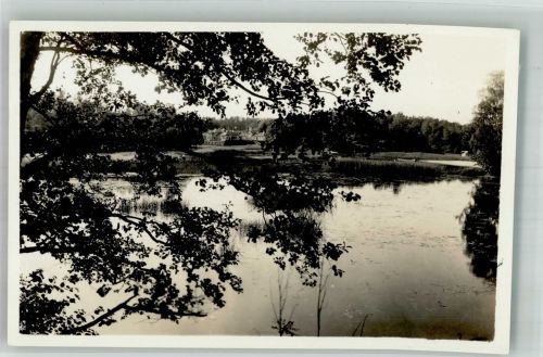 Wiborg Wyborg Foto AK Monrepos Schloss Ort lt. Stempel