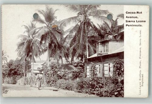 Freetown Gebrauchsspuren Cacao-Nut Avenue Peninsula gelocht