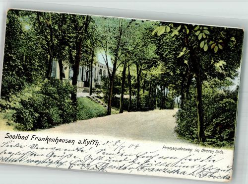 06556 O4730 Bad Frankenhausen ,Kyffhäuser 1904 - Promenadenweg im oberen Bade