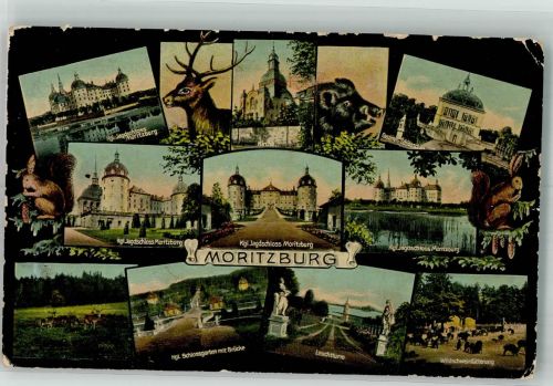 01468 O8105 Moritzburg 1915 - Jagdschloss Moritzburg Fasanen-Schlösschen Leuchtturm Kirche Schlossgartenbrücke Wildschwein Eichhörnchen Verlag Hermann Seibt
