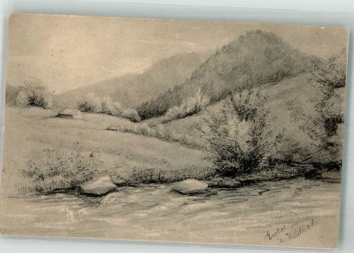 75323 W7547 Bad Wildbad im Schwarzwald 1911 Künstlerkarte Im Enztal