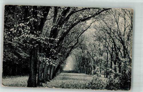 91522 W8800 Ansbach , Mittelfr 1922 Gebrauchsspuren Hofgarten-Allee