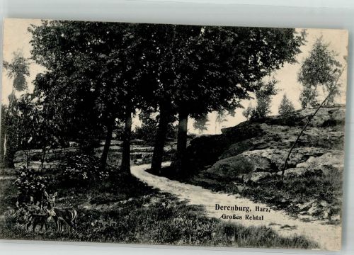 38895 O3722 Derenburg 1915 - Großes Rehtal