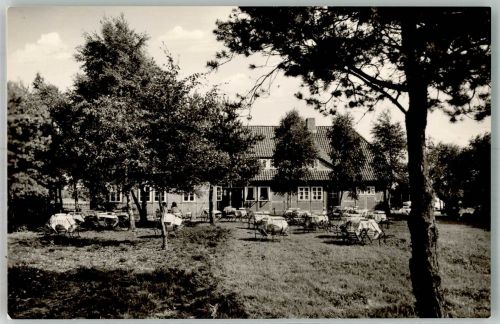 29640 W3043 Schneverdingen Foto AK Gasthaus Schäferhof Fotograf Schultze