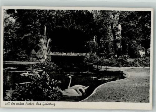 53111 W5300 Bad Godesberg - Schwäne Park