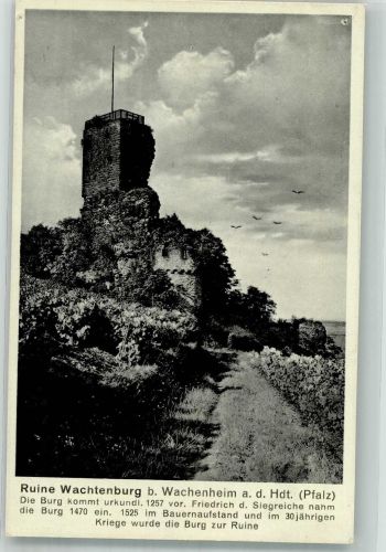 67098 W6706 Wachenheim an der Weinstraße - Ruine Wachtenburg