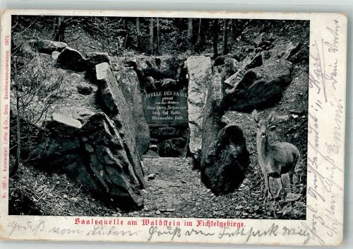 95213 W8660 Münchberg , Oberfr 1906 - Saalequelle Waldstein