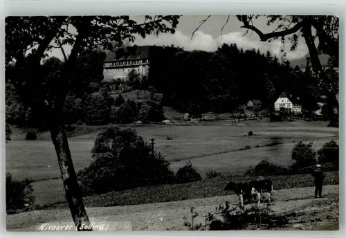 37194 W3417 Nienover Gebrauchsspuren Schloss Kühe