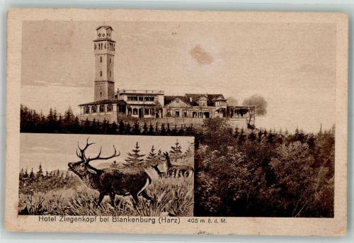 38889 O3720 Blankenburg Harz Gebrauchsspuren Hotel Ziegenkopf