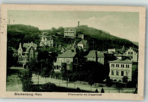 38889 O3720 Blankenburg Harz 1924 Gebrauchsspuren Villenviertel m. Ziegenkopf