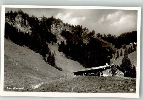 87509 W8970 Immenstadt i. Allgäu Foto AK Alpe Wilderund