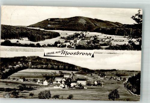 76571 W7560 Moosbronn