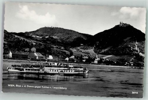 1190 Wien 19. Bezirk, Döbling Foto AK Dampfschiff Blick gegen Kahlenberg und Leopoldsberg