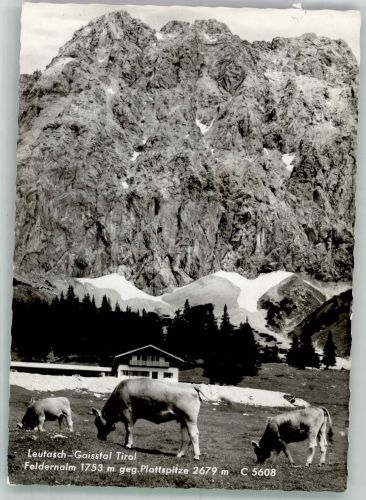 6105 Leutasch Foto AK Gasthaus Felderalm
