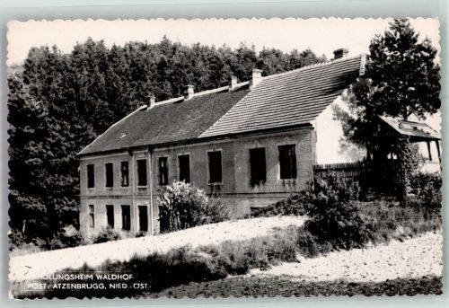 3452 Atzenbrugg 1956 Foto AK Pension Erholungsheim Waldhof