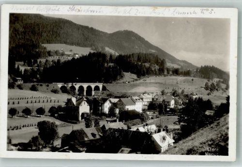8684 Steinhaus am Semmering 1931 Foto AK