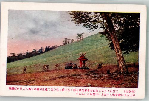 Nara Lithographie / Künstlerkarte Mount Mikasa Nara Park Ort lt. Recherche