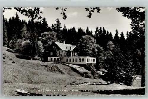2880 Kirchberg am Wechsel-Markt Foto AK Gasthaus Pension Waldhaus Tränk-Törl am Wechsel
