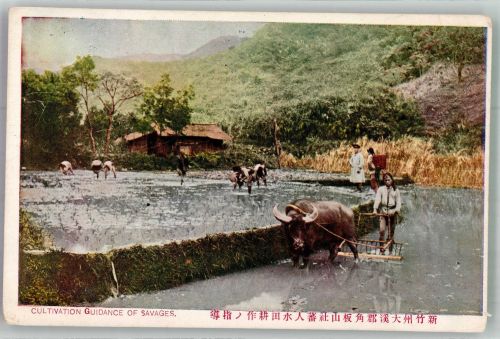 Tokyo Tokio Bauern Reisfelder Motiv Japan Foto AK