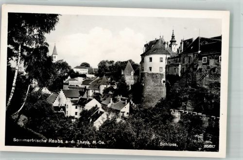3820 Raabs an der Thaya 1961 Foto AK Schloss