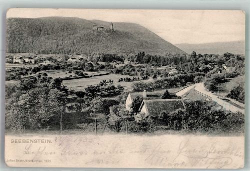 2824 Seebenstein 1905 Foto AK Burg